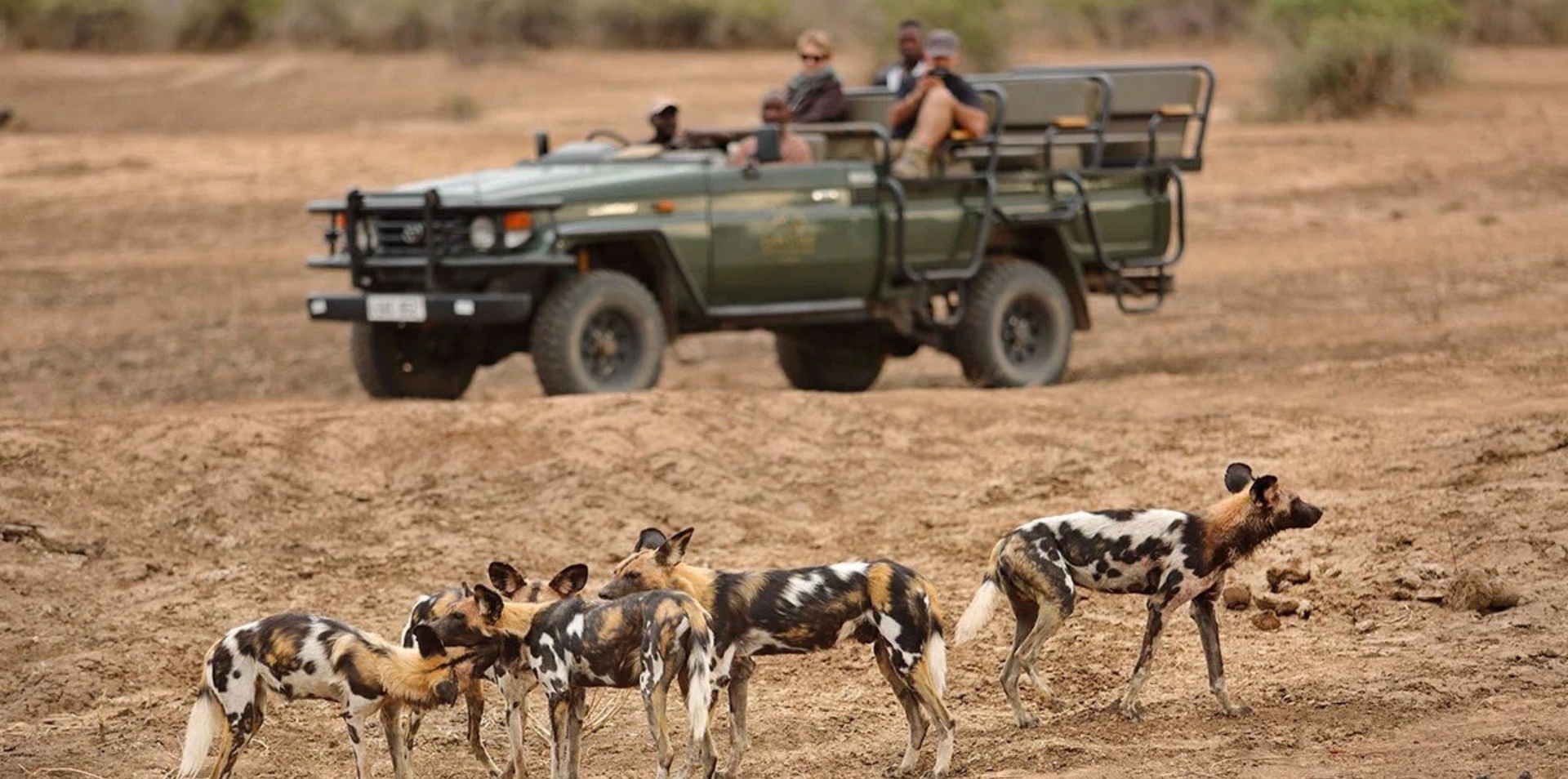 Zambezi to Luangwa: A Wild Odyssey